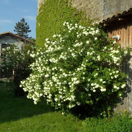 U Campana Bed & Breakfast *