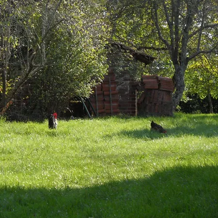 U Campana Bed & Breakfast Auros