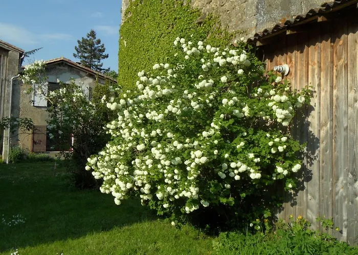 U Campana Bed & Breakfast 3*